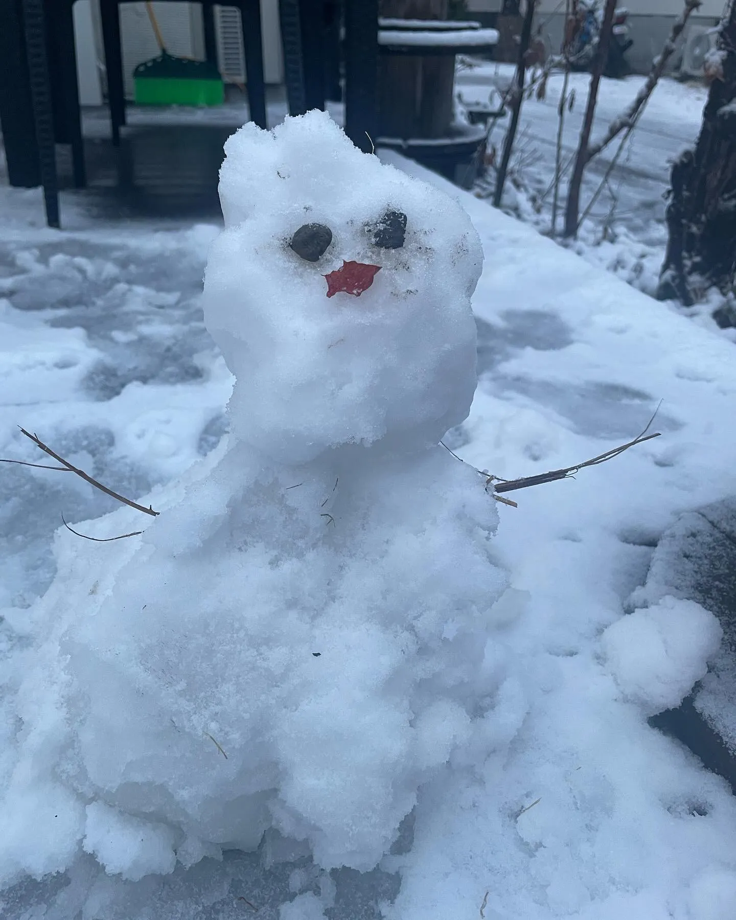 今年初⸜❄️⸝雪だるま⛄️💓